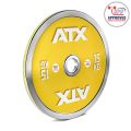 ATX® Calibrated Steel Plate- CC  15 kg